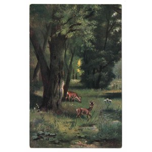 In a forest clearing