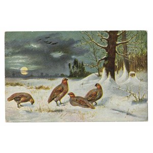 Partridges in the Snow