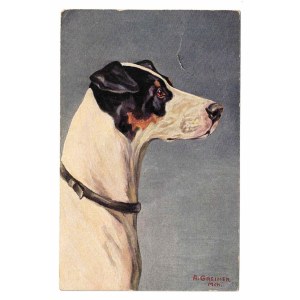 A dog's head