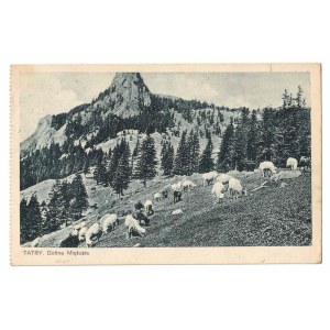 Les Tatras. La vallée de Miętusia.