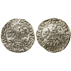 Pologne, demi-grosz, 1558, Vilnius