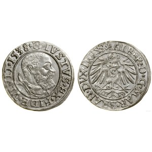 Prusy Książęce (1525-1657), grosz, 1538, Królewiec
