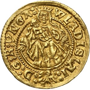 Hungary - Wladislaus II. (1490-1516) Goldgulden Kremnitz
