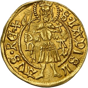 Hungary - Wladislaus II. (1490-1516) Goldgulden Neustadt