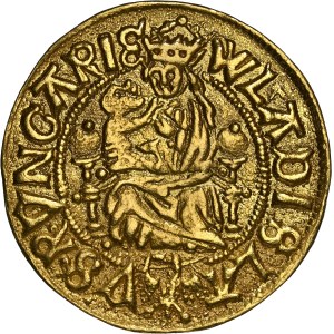 Hungary - Wladislaus II. (1490-1516) Goldgulden Neustadt