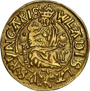 Hungary - Wladislaus II. (1490-1516) Goldgulden Neustadt