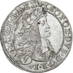 Zobacz podobne