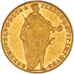Zobacz podobne