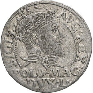 Sigismund II August Groschen 1546 Vilnius