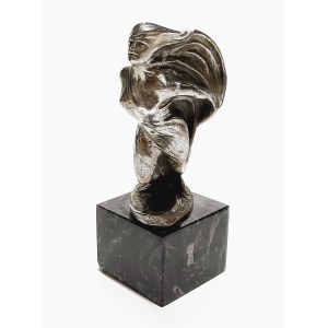 Bolesław Biegas (1877 - 1954), Femme au voile