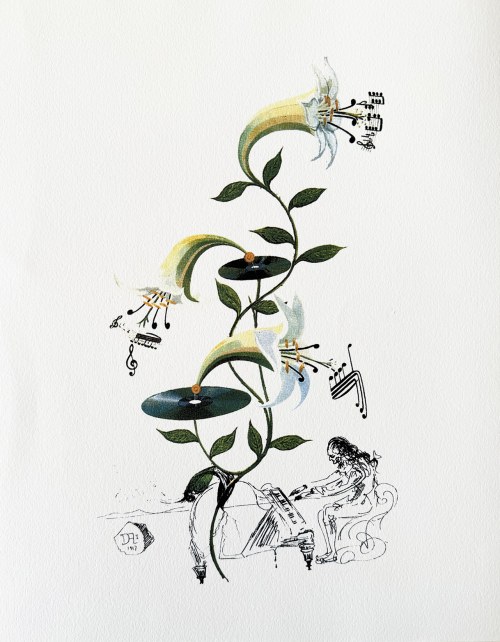 Salvador Dali (1904-1989), Lys (Lilium Musicum) from Flora Dalínae (FlorDalí)