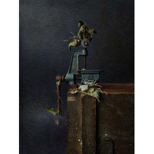 Natalia Sopoćko, *Alone*