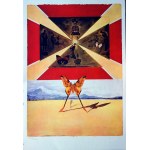 Salvador DALI (1904–1989), Suite Papillon (Cyklus s motýlem pro turisty), 1969
