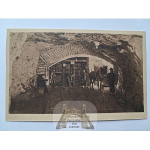 Zabrze, Biskupice, baňa Ludwik, Max Steckel, okolo roku 1914
