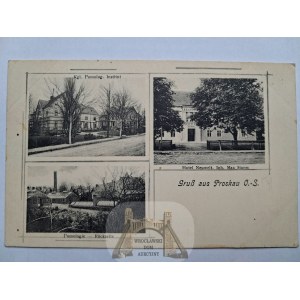 Prószków, Proskau, nei pressi di Opole, scuola di frutticoltura, 1905 circa