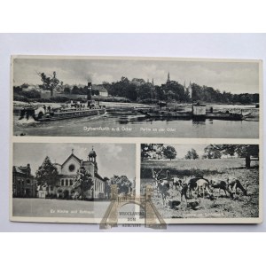 Brzeg Dolny, Dyherrnfurt, Odra, ratusz, park przy pałacu, 1935