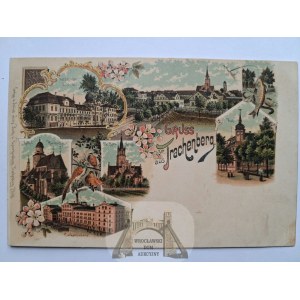 Żmigród, Trachenberg, lithograph, ca. 1900