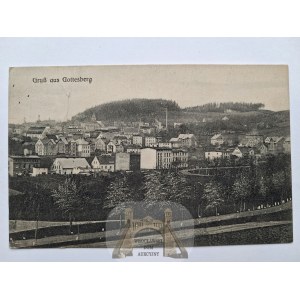 Boguszów Gorce, Gottesberg, panorama, 1908