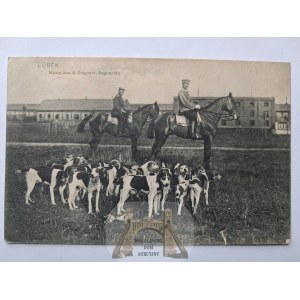 Lubin, Luben, 4th Dragoon Regiment, a pack of dogs, 1907