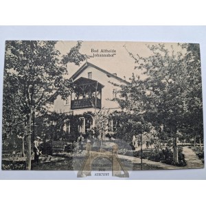 Polanica Zdrój, Bad Altheide, Joannahof Villa, ca. 1910