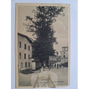 Międzylesie, Mittelwalde, Dworcowa Street, 1919
