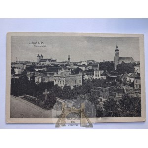Leszno, Lissa, Panorama, um 1915