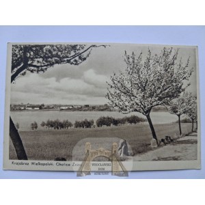 Żnin, panoramic view, ca. 1930