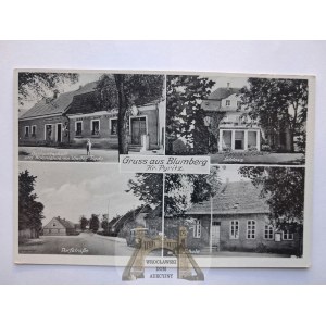 Mroczyca near Stargard, palace, street, store, ca. 1940