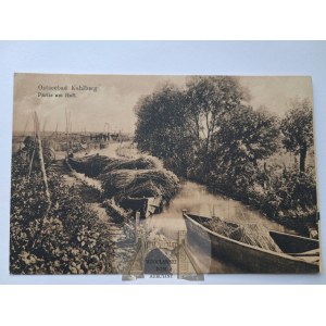 Krynica, Kahlberg, river, reed harvest, ca. 1915