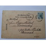 Niepołomice, lithograph, 4 views, 1900