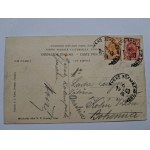 Ukraine, Dubno, butterfly lithograph, collage, 1909