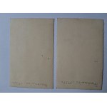 Ukraina, Truskawiec, pensjonat Kornelia - dwa zdjęcia - 1935