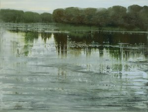 Jagoda Kaczmarczyk-Hudzik (ur. 1966, Kraków), 