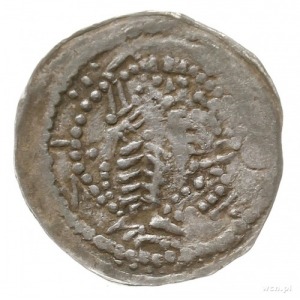 denar z lat 1253-1257, Poznań; Aw: Książę na tronie na ...