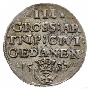 trojak 1537, Gdańsk; popiersie króla w czepcu pod koron...