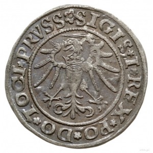 grosz 1535, Elbląg; na awersie PRVSS kończy napis, na r...