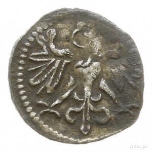 denar 1551, Wschowa; Aw: Orzeł heraldyczny z pierścieni...