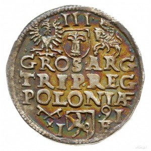 trojak 1591, Poznań; Iger P.91.4.b; patyna, ładny