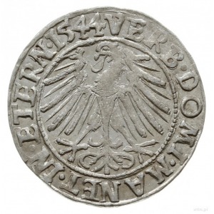 grosz 1544, Brzeg; F.u.S 1363; piękny z dużym blaskiem ...