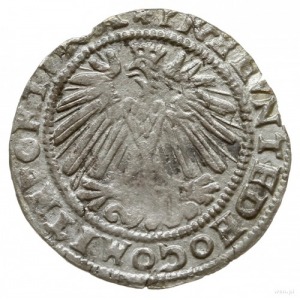 grosz 1569, Bielsko; odmiana z datą w napisie otokowym,...