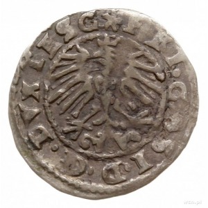 krajcar 1569, Bielsko; F.u.S 2976, Kop. 4885 (R3); rzad...