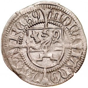 Pomorze, Bogusław X 1478-1523, Szeląg 1489, Gardziec.