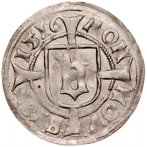 Pomorze, Bogusław X 1478-1523, Wit 1516, Szczecin.