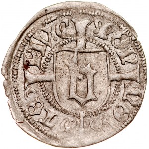 Pomorze, Bogusław X 1478-1523, Wit MVC, Szczecin.