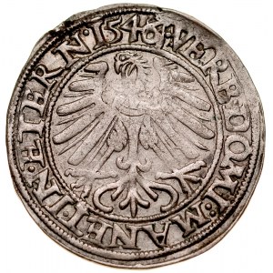 Śląsk, Księstwo Legnicko-Brzesko-Wołowskie, Fryderyk II 1505-1547, Grosz 1546, Legnica.