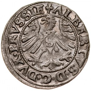 Prusy Książęce, Albrecht Hohenzollern 1525-1568, Szeląg 1550, Królewiec.