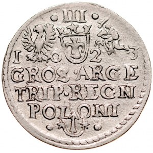 Zygmunt III 1587-1632, Trojak 1623, Kraków.