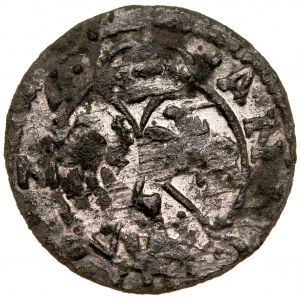 Zygmunt III 1587-1632, Ternar 1624, Łobżenica.