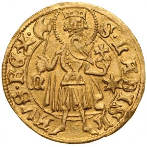 Władysław II Jagiellończyk 1434-1444, Floren, Av.: Stojący Św. Ladislaw, Rv.: Tarcza herbowa.