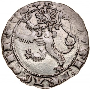 Wacław II 1300-1305, Grosz praski, Av.: Korona królewska, Rvc.: Lew czeski.